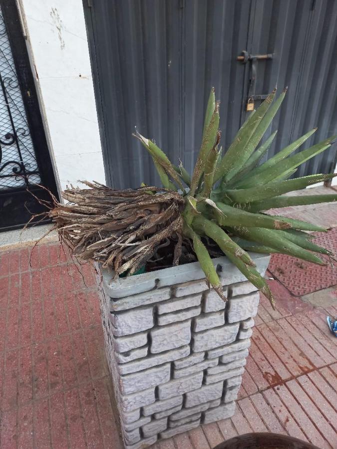 Appartement Hassania Casa Blanca Exterior foto